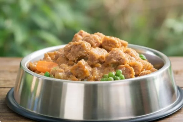 Best Wet Dog Food for Sensitive Stomachs