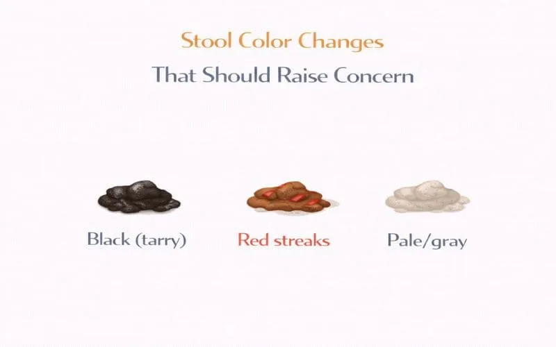 Visual chart showing black, red-streaked, and pale stool colors in dogs
