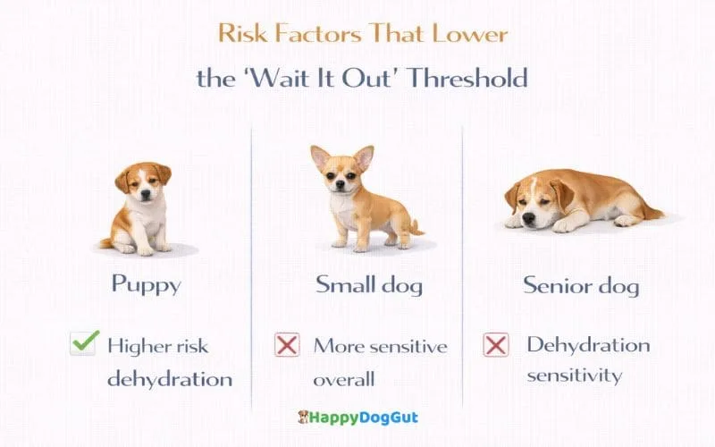 Comparison infographic showing higher loose stool risk in puppies, small dogs, and senior dogs