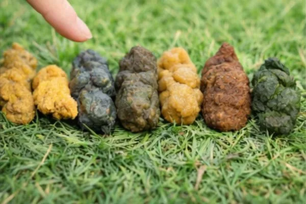 Untitled design 10 1