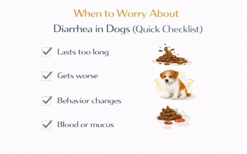 Checklist infographic explaining when to worry about diarrhea in dogs and warning signs