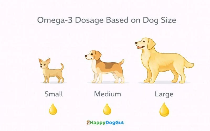Infographic showing omega-3 dosage concept for small medium and large dogs based on body size.