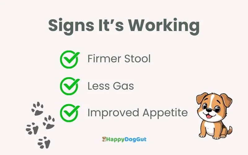 Checklist infographic showing signs digestive enzymes are helping dogs including firmer stool less gas and improved appetite.