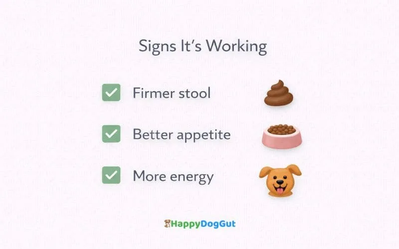 Checklist infographic showing signs dog gut reset is working including firmer stool better appetite and more energy.