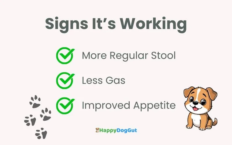 Checklist infographic showing signs prebiotics support dog digestion including regular stool, less gas and improved appetite.