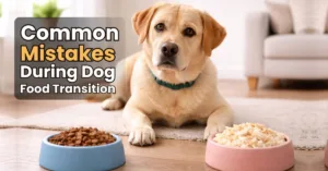 Dog looking confused between two food bowls showing common mistakes during dog food transition.