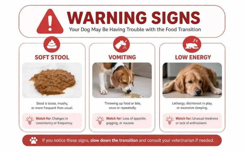 Warning signs infographic showing soft stool vomiting and low energy in dogs during food transition.