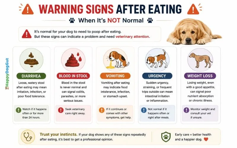 Infographic showing warning signs after eating including diarrhea blood in stool vomiting and weight loss.