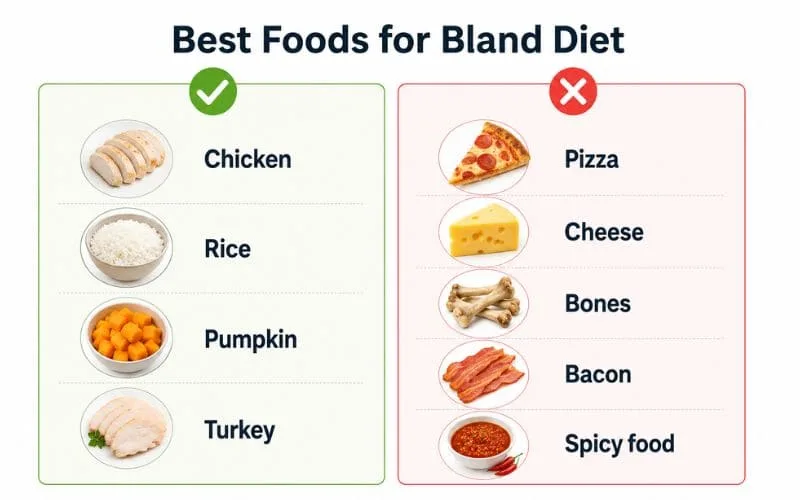 Comparison infographic showing safe foods like chicken, rice, pumpkin, and turkey versus pizza, cheese, bacon, bones, and spicy food.